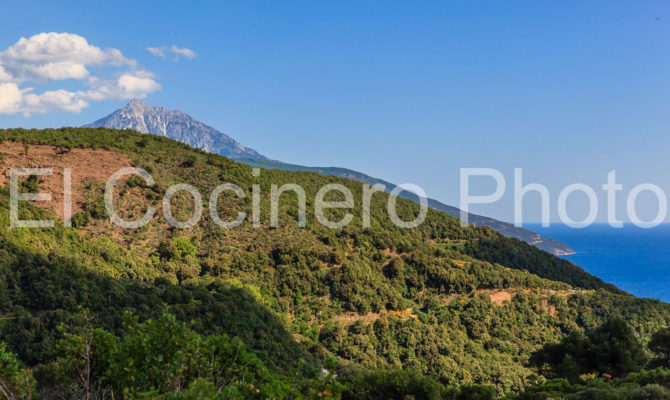 Άγιον Όρος